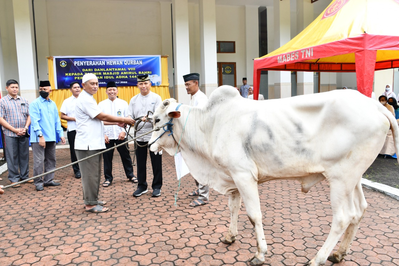 Peringati Idul Adha Lantamal VIII Gelar Sholat Dan Pemotongan Hewan